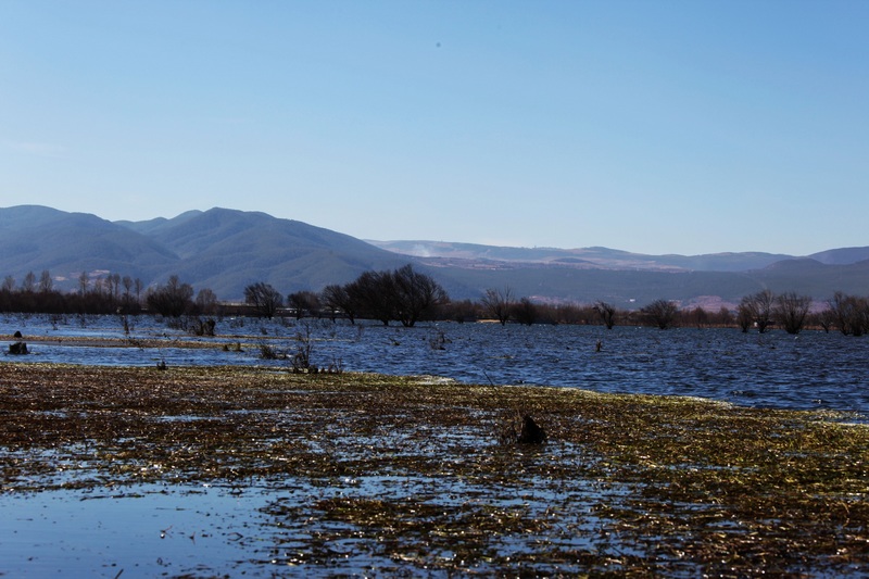 IMG_1871_光影_1.jpg