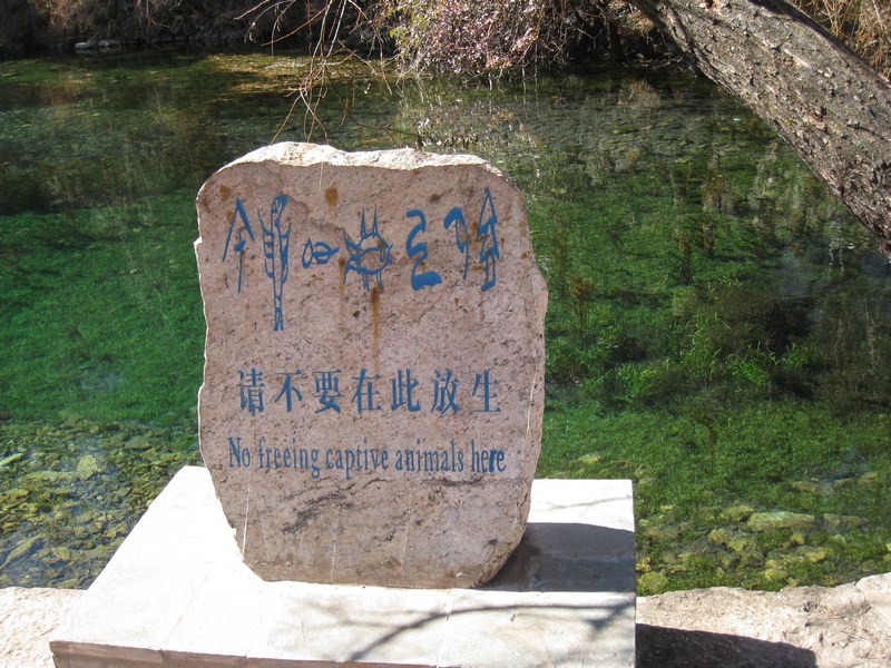 IMG_8312_光影_1.jpg