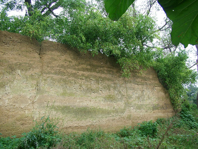 DSCF5455.JPG