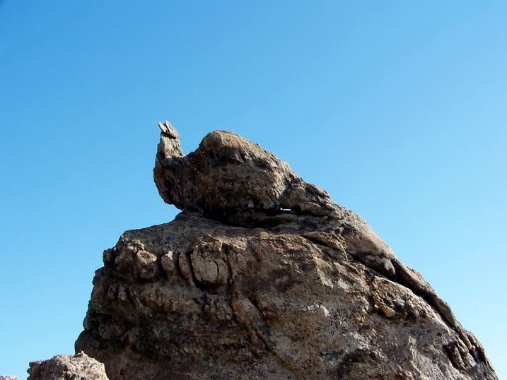 100_7375_缩小大小.JPG