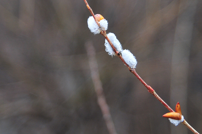 DSC_3422.JPG