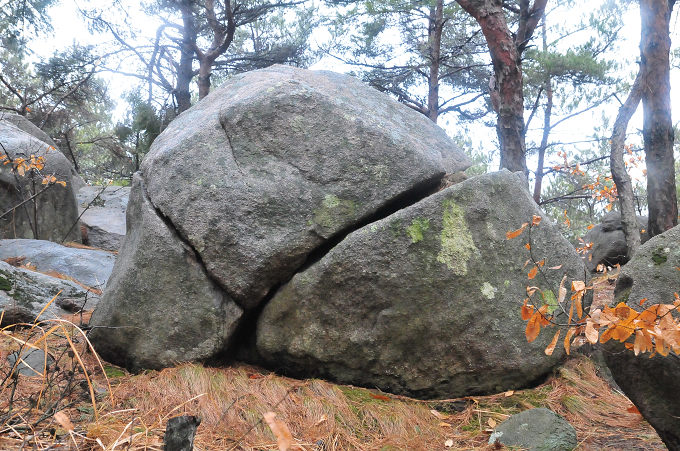 DSC_3500.JPG