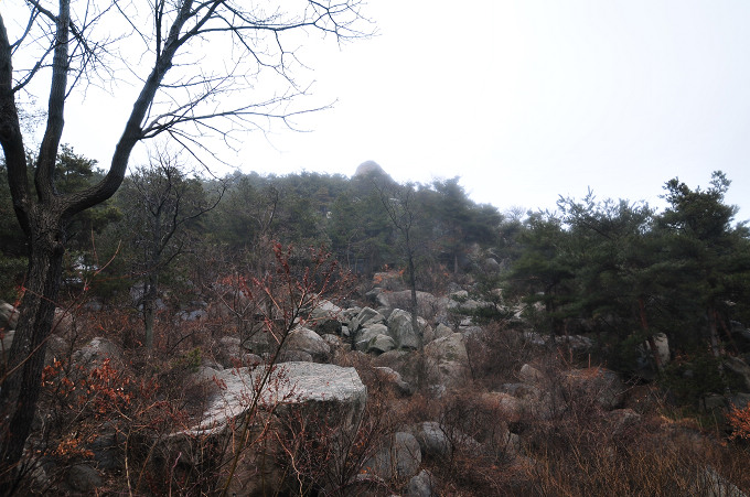 DSC_3511.JPG