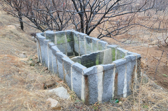 DSC_3540.JPG
