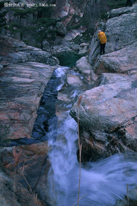 DSC_4442.jpg