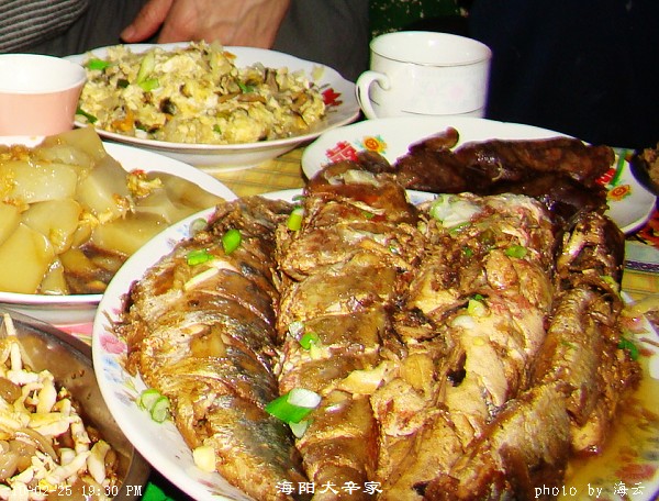 DSC01580.jpg