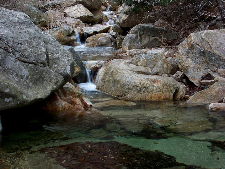 100_7663_缩小大小.JPG