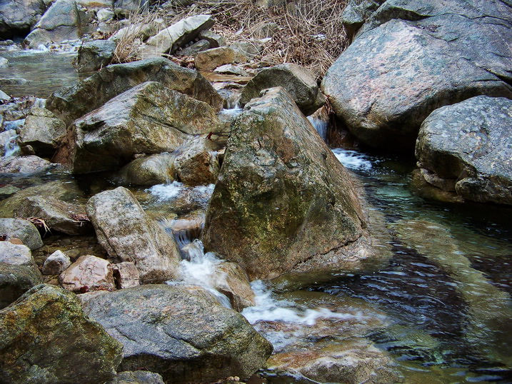 100_7688_缩小大小.JPG