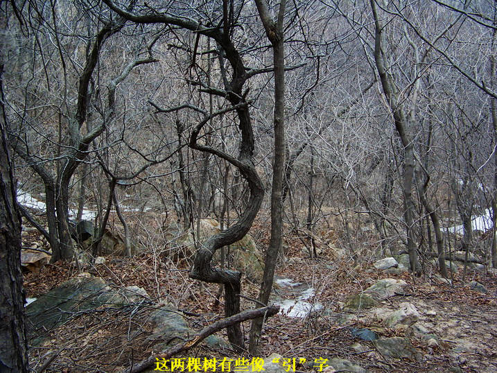 100_7699_缩小大小.JPG