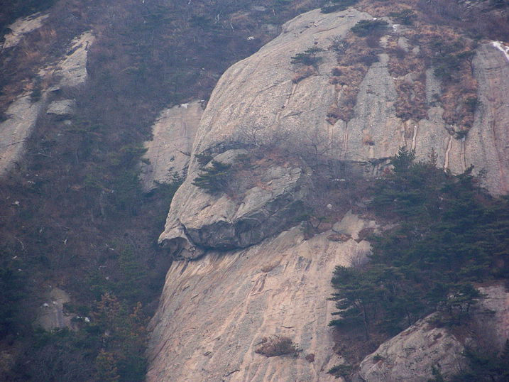 100_7712_缩小大小.JPG
