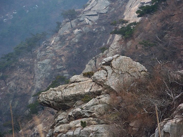 100_7718_缩小大小.JPG