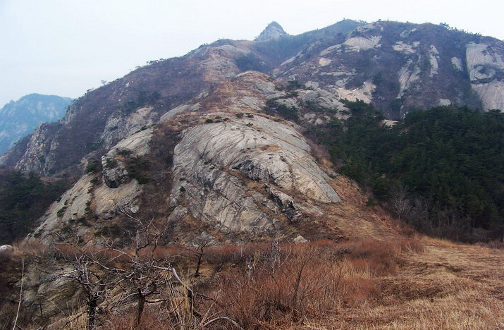 100_7716_缩小大小.JPG