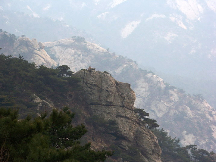 100_7731_缩小大小.JPG
