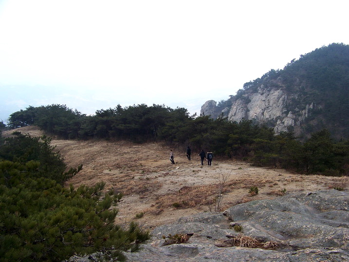 100_7733_缩小大小.JPG