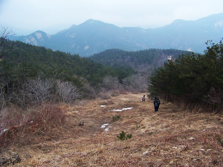 100_7730_缩小大小.JPG