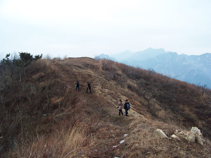 100_7725_缩小大小.JPG