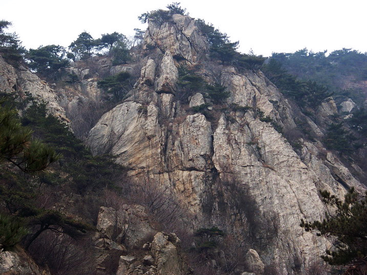 100_7746_缩小大小.JPG