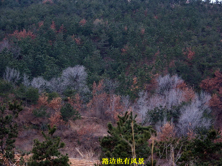 100_7758_缩小大小.JPG