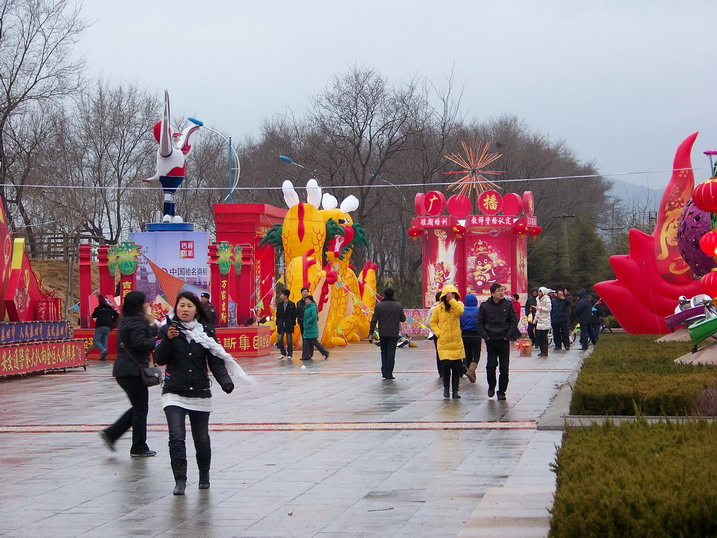 100_7768_缩小大小.JPG