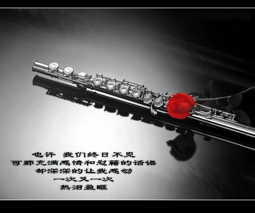 365f.jpg