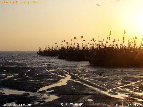 DSC01720.jpg