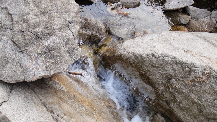 DSC01285.JPG