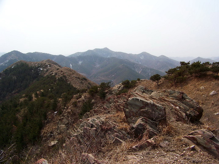 118_8020_缩小大小.JPG