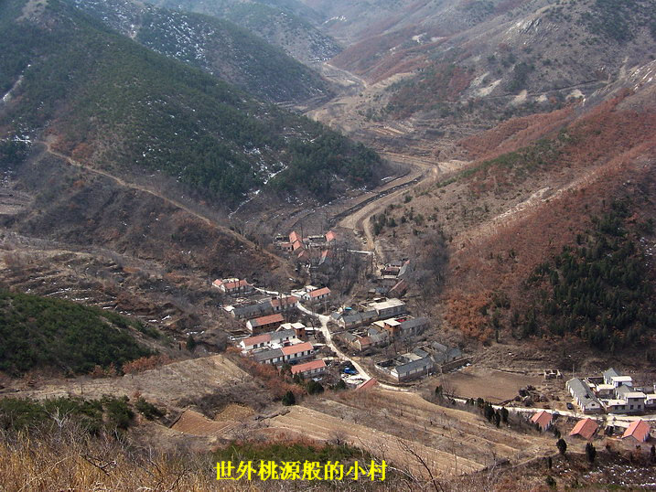 118_8037_缩小大小.JPG