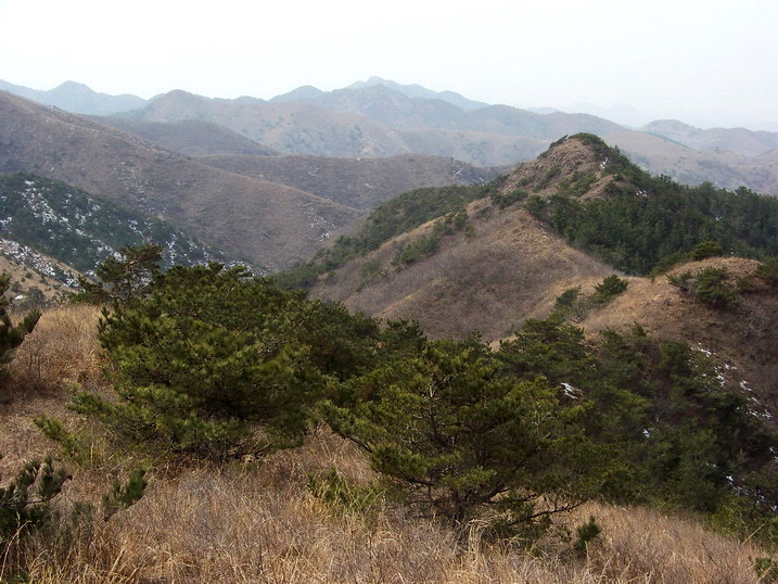 118_8068_缩小大小.JPG