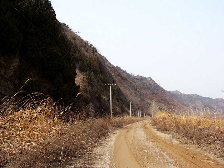 118_8088_缩小大小.JPG