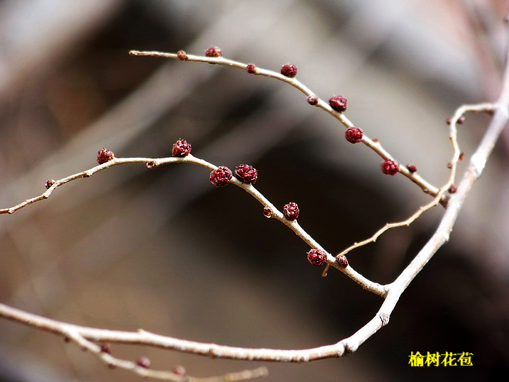 118_8092_缩小大小.JPG