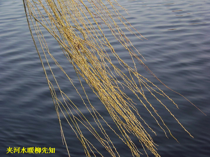 118_8117_缩小大小.JPG