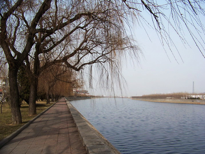 118_8116_缩小大小.JPG