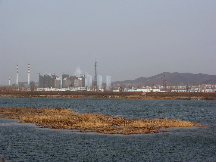 118_8122_缩小大小.JPG