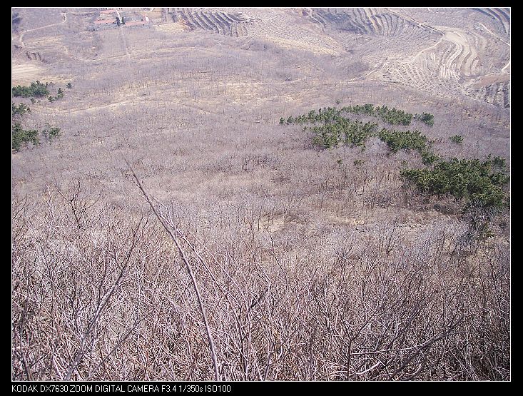 nEO_IMG_蚕山 152.jpg