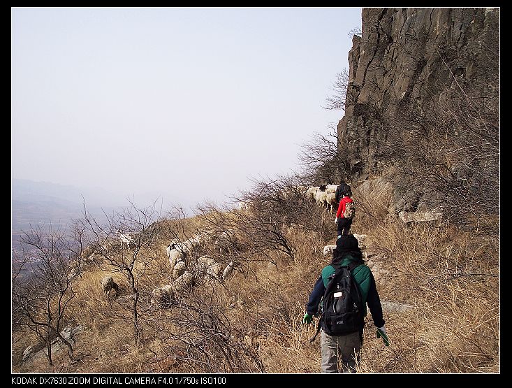 nEO_IMG_蚕山 161.jpg