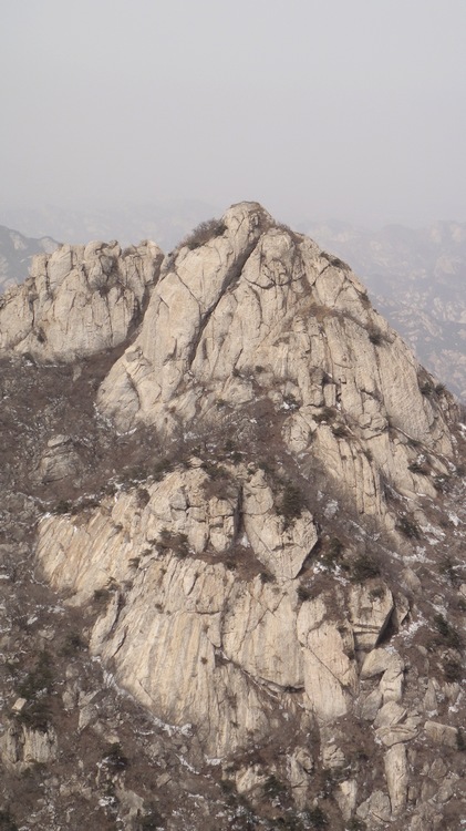 旋转 DSC01541.JPG