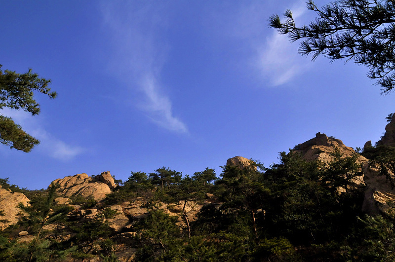 _DSC5584.JPG