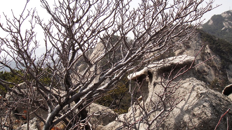DSC01723.JPG