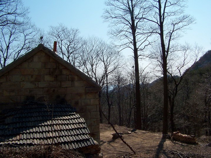 118_8380_缩小大小.JPG