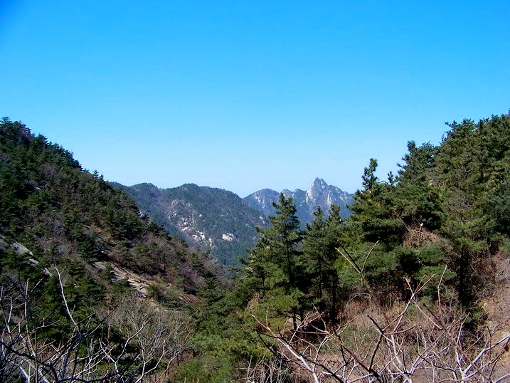 118_8392_缩小大小.jpg