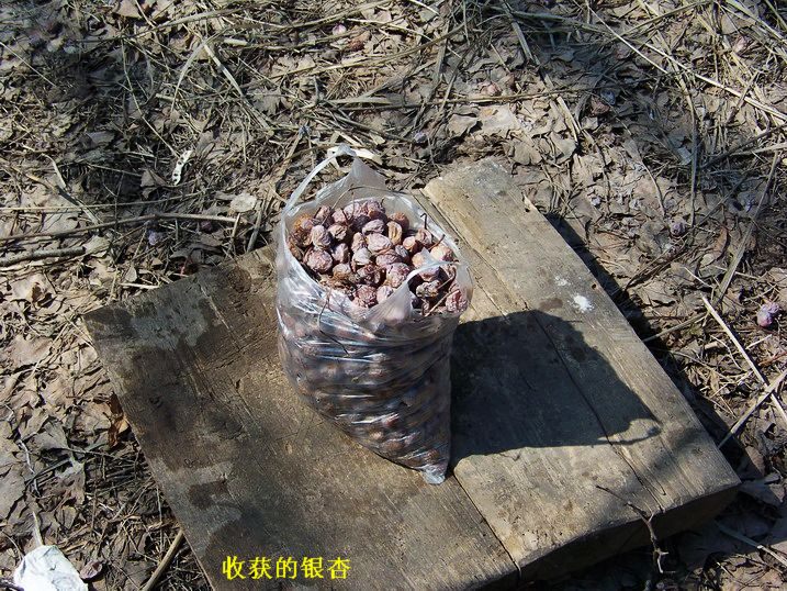 118_8432_缩小大小.JPG