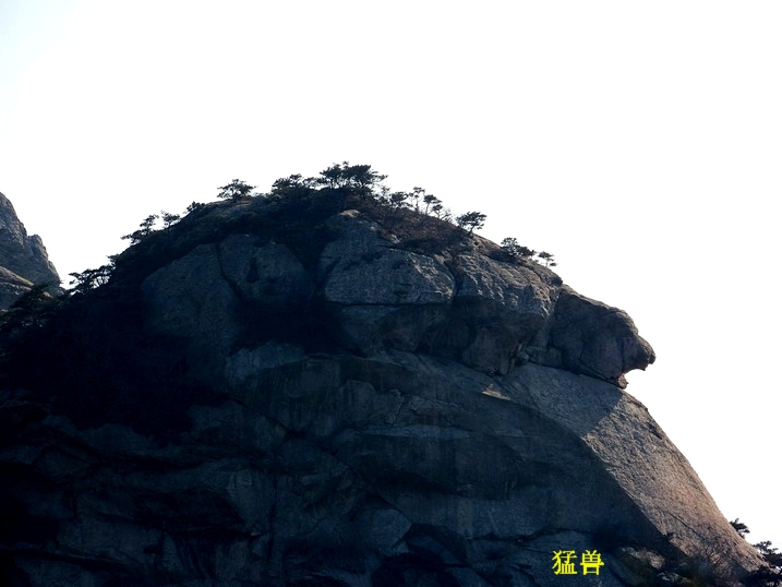 118_8446_缩小大小.JPG