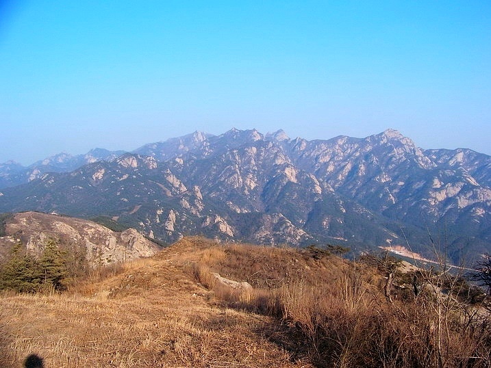 118_8460_缩小大小.JPG