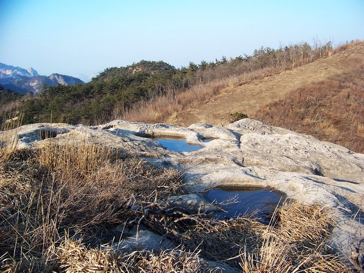 118_8463_缩小大小.JPG