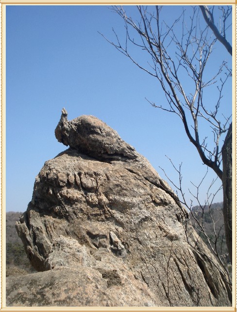 孔雀石 (169).JPG