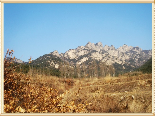 孔雀石 (29).JPG