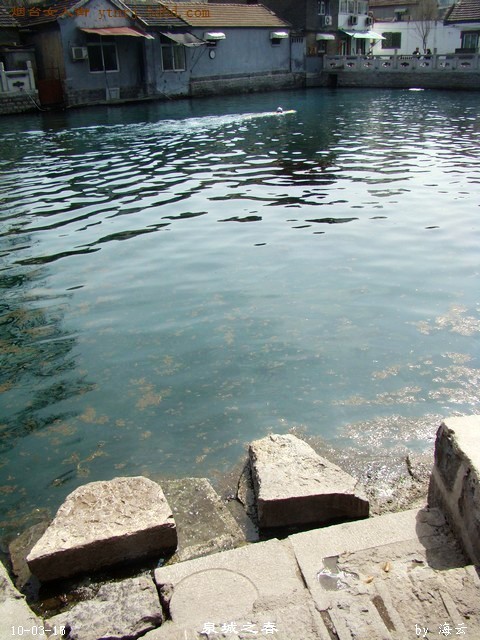 DSC04180.jpg
