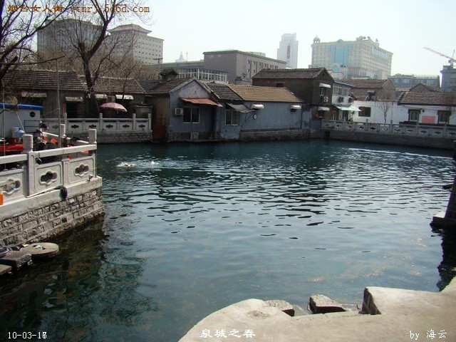 DSC04172.jpg
