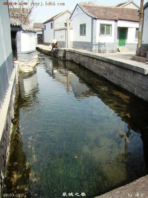 DSC04267.jpg